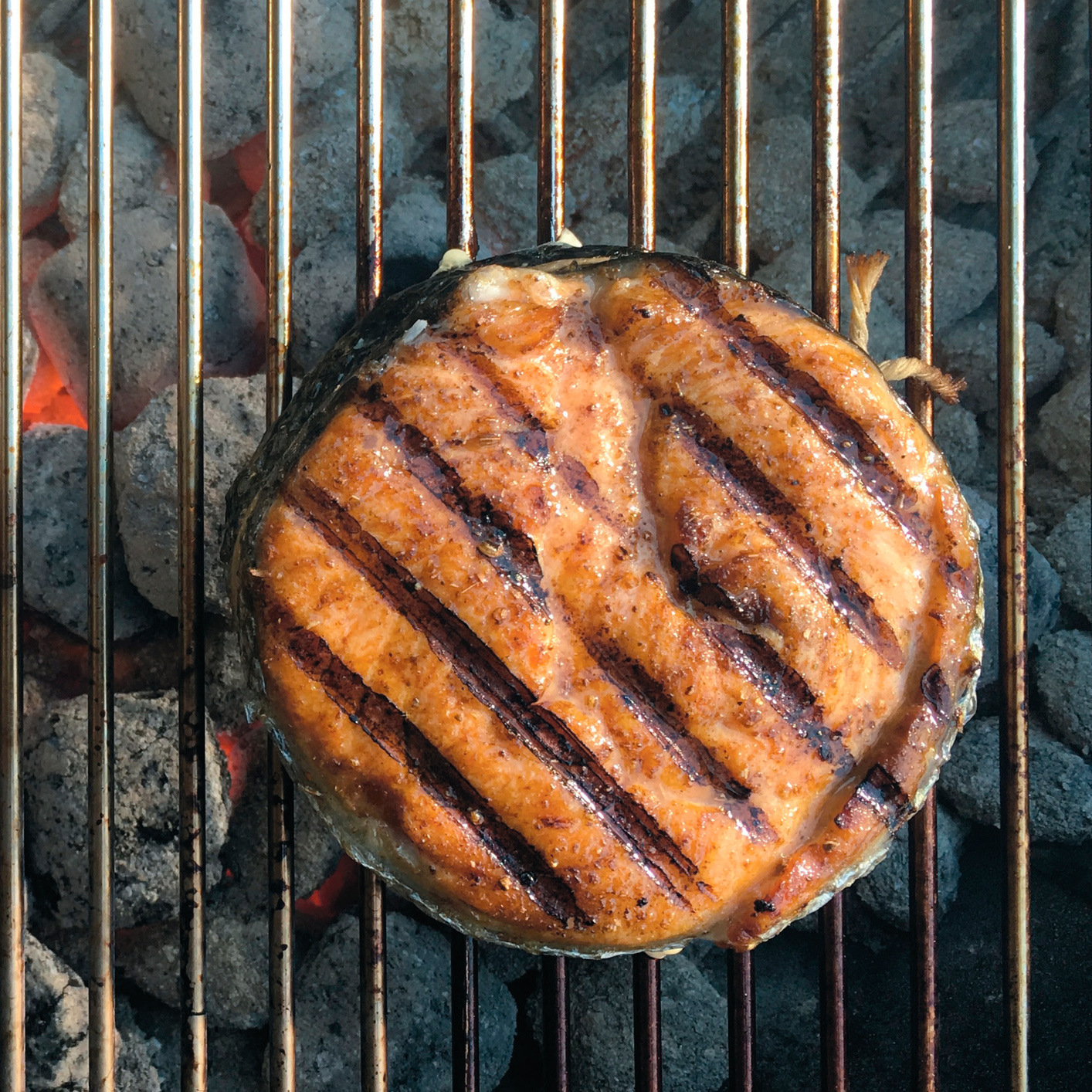 Garam Masalmon Steaks