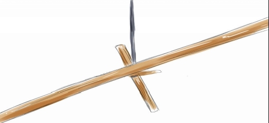 trap6