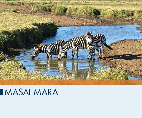 Masai Mara