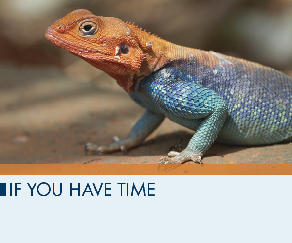 If You Have Time