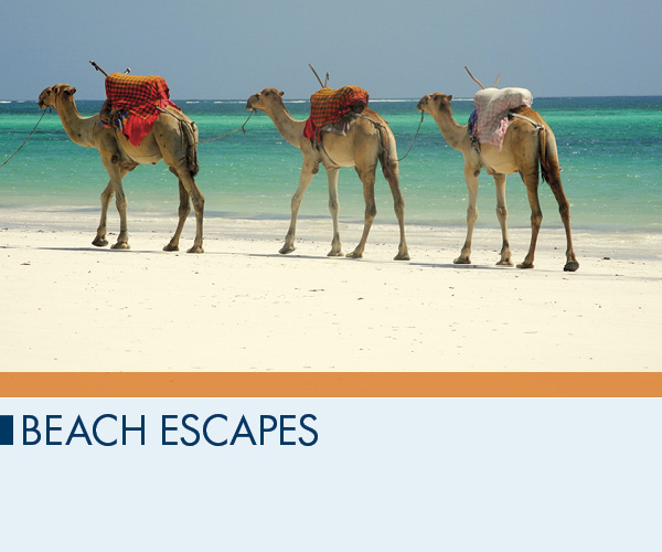 Beach Escapes