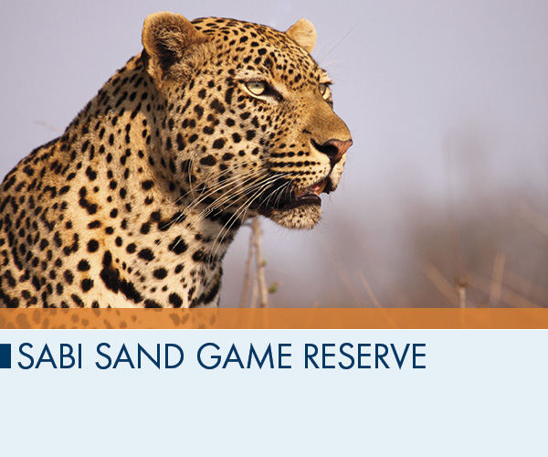 Sabi Sand Game Reserve