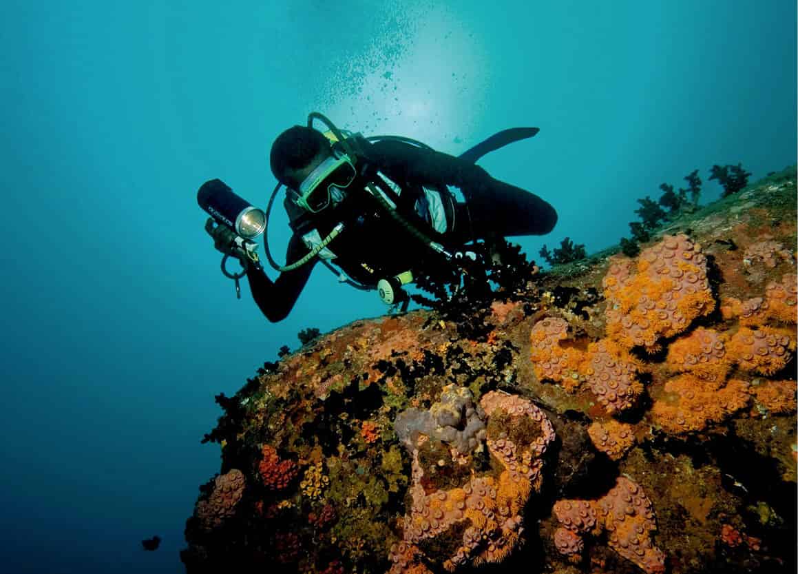 SriLankanDiver_SriLanka_EC
