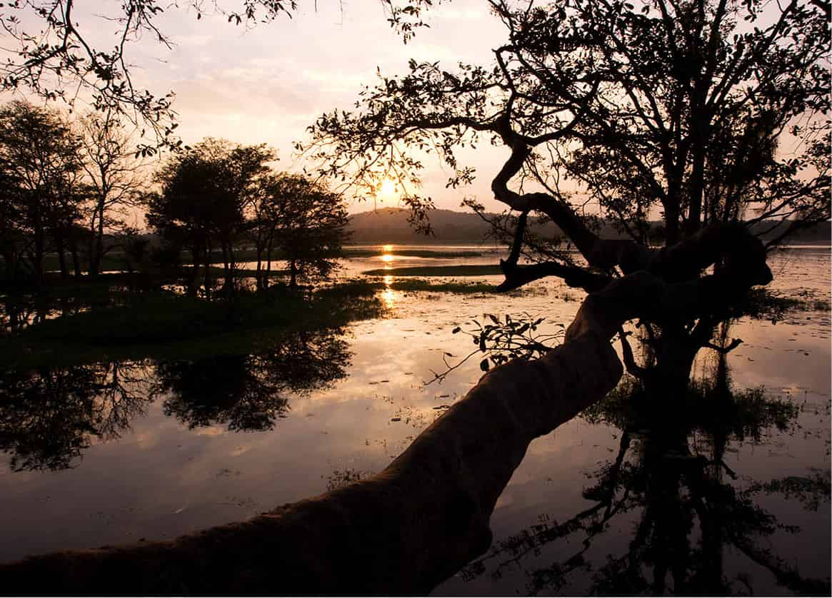 Road_and_Habarana-4604_SriLanka_EC