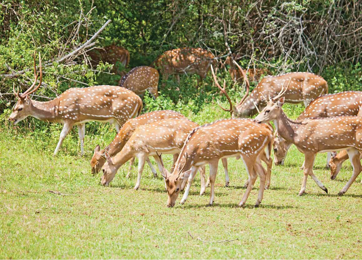 iStock_000019525527Large_EC