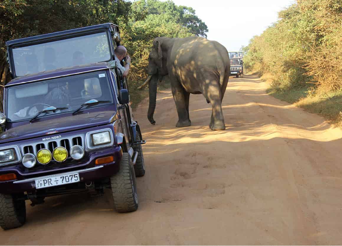 iStock_000024575727Medium_SriLanka_EC